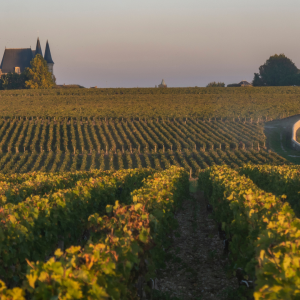 L&rsquo;appellation Pauillac et ses grands Châteaux