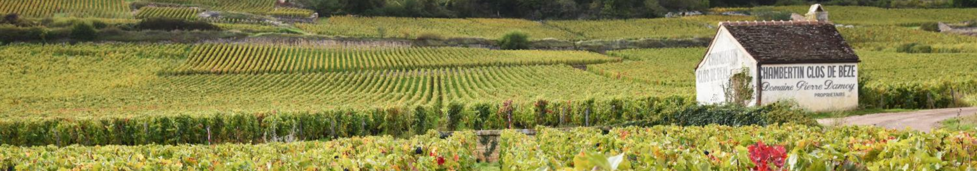 Vin appellation Chambertin Clos de Bèze