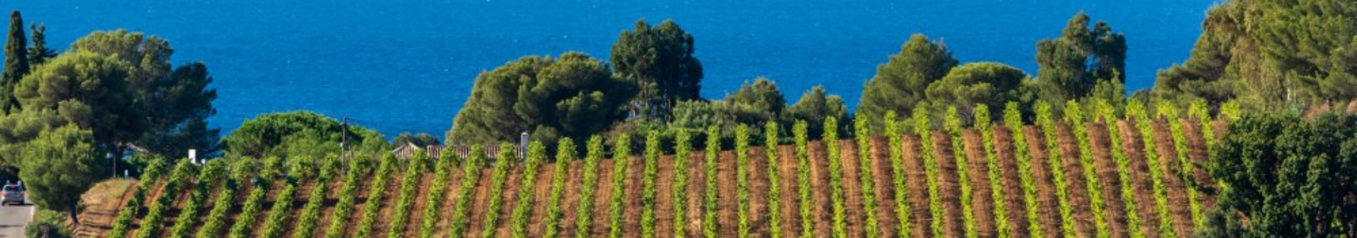 Région Provence