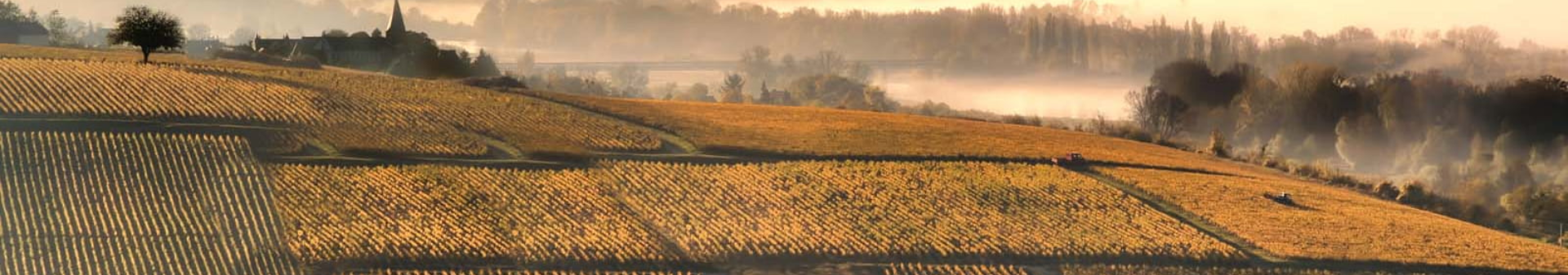 Vin appellation La Romanée