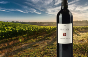 DOMAINE GAUBY Muntada 2020