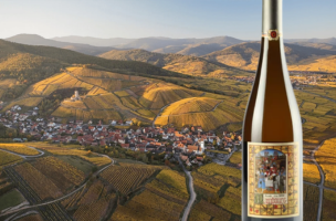 DOMAINE MARCEL DEISS 2020
