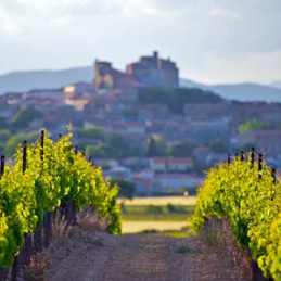 Vins du Languedoc-Roussillon