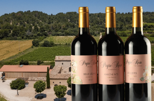 ASSORTIMENT Domaine Peyre Rose 2012