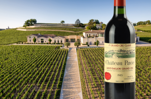 pavie 1985