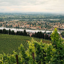 Région Rhône