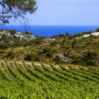 Vins du Languedoc-Roussillon 
