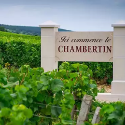 Appellation Chambertin Grand Cru