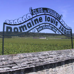 En savoir plus sur la Maison Louis Jadot
